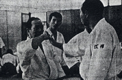 �����񍐎ʐ^