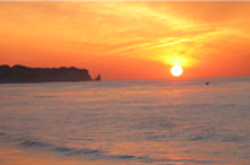 �����񍐎ʐ^